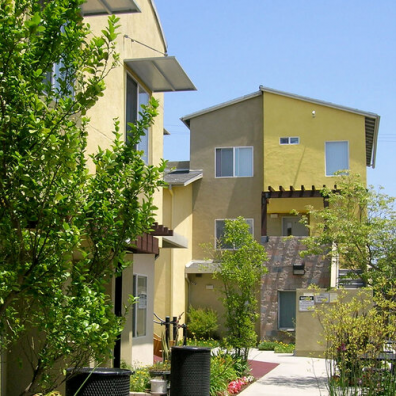 Camino de Los Arbolitos