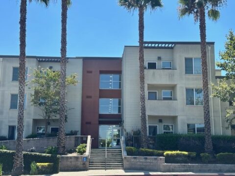A modern three-story apartment building with balconies, large windows, and a central glass entrance, flanked by tall palm trees and surrounded by landscaped greenery.