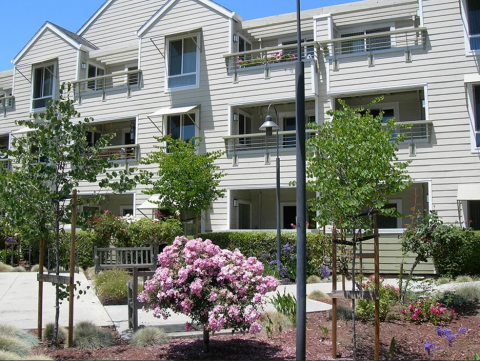 Morrone Gardens